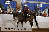 11r12_8121 proof