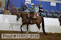 11r12_8124 proof