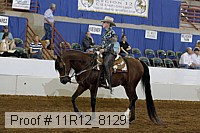 11r12_8129 proof