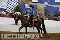 11r12_8133 proof