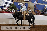11r12_8136 proof