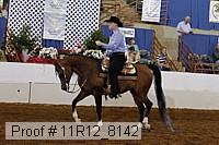 11r12_8142 proof