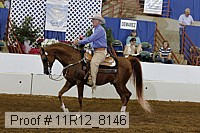 11r12_8146 proof