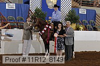 11r12_8149 proof