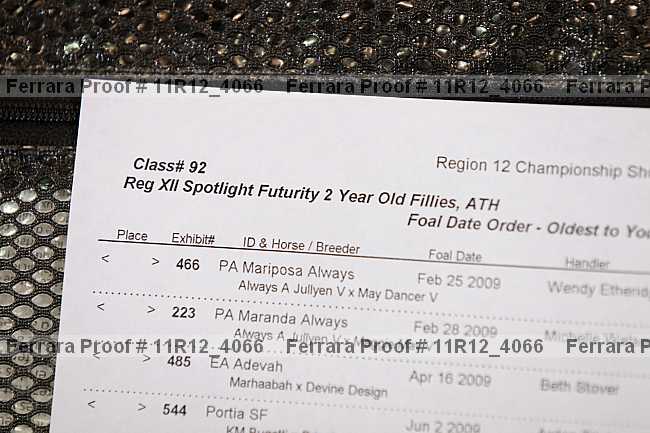 Proof 11r12_4066