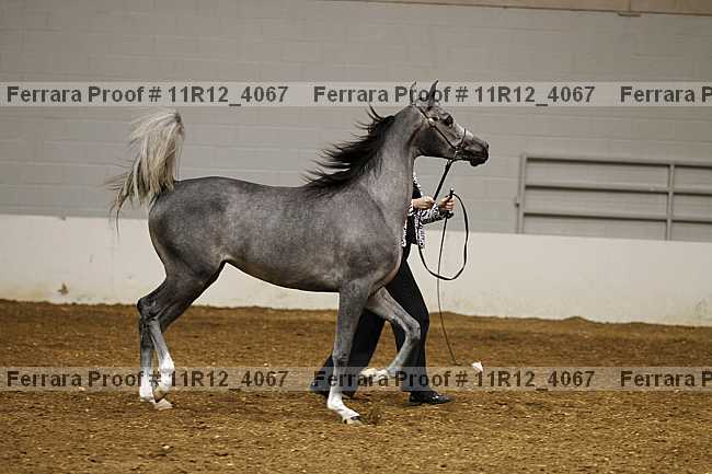 Proof 11r12_4067