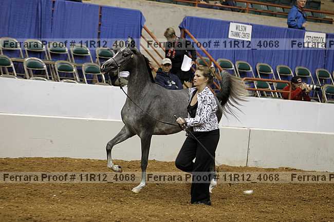 Proof 11r12_4068