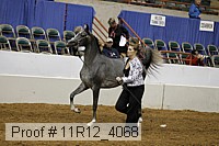 11r12_4068 proof