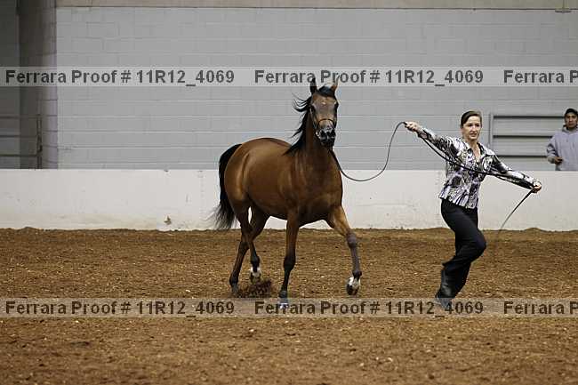 Proof 11r12_4069