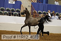 11r12_4073 proof
