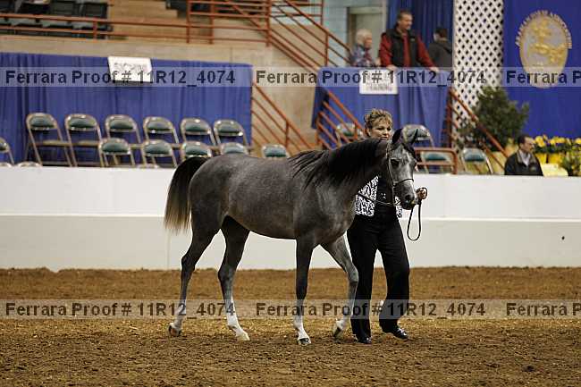 Proof 11r12_4074