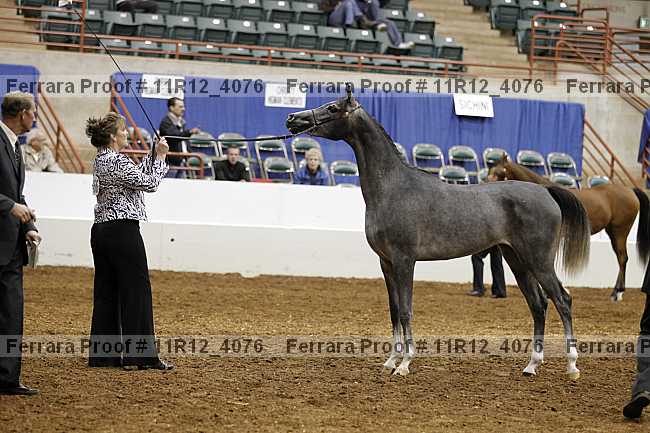Proof 11r12_4076