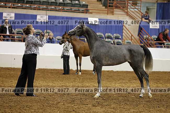 Proof 11r12_4077