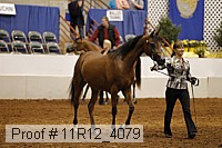 11r12_4079 proof