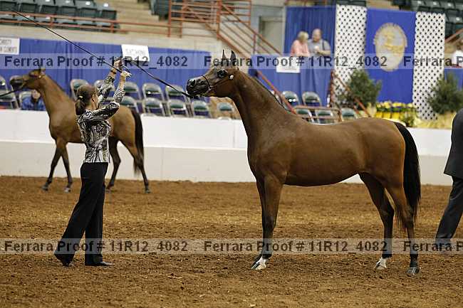 Proof 11r12_4082