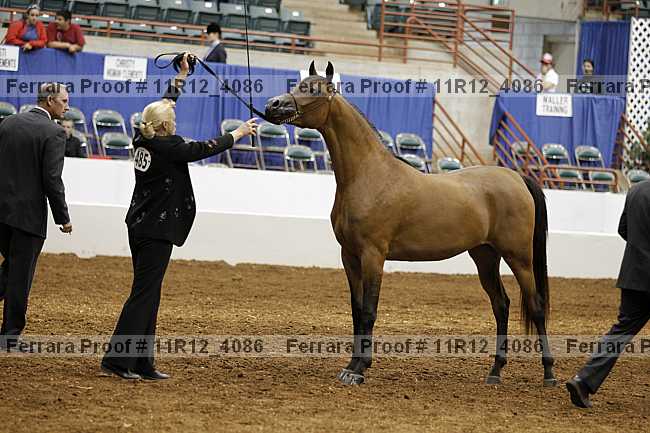 Proof 11r12_4086