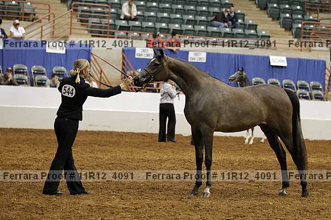 Proof 11r12_4091