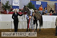11r12_4097 proof