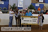 11r12_4098 proof