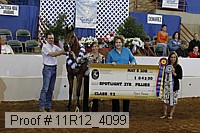 11r12_4099 proof
