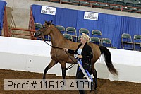 11r12_4100 proof