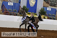 11r12_4101 proof