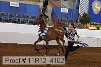 11r12_4102 proof