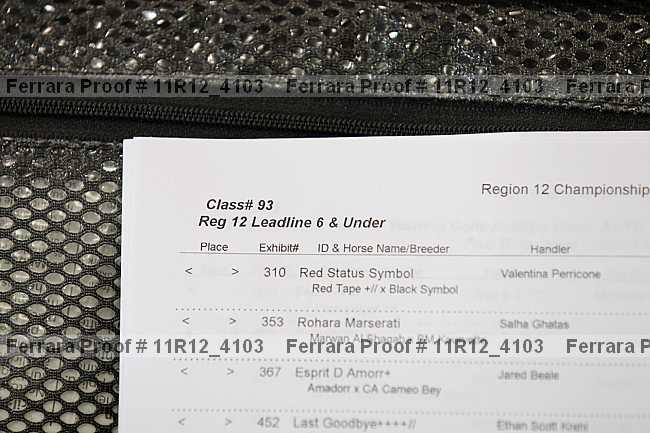 Proof 11r12_4103