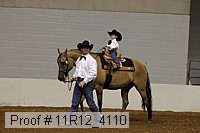 11r12_4110 proof