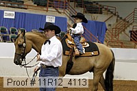 11r12_4113 proof