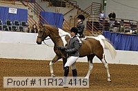 11r12_4115 proof