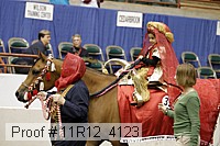 11r12_4123 proof