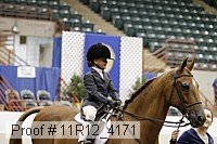 11r12_4171 proof