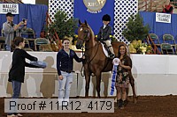 11r12_4179 proof