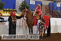 11r12_4181 proof
