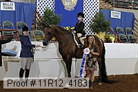 11r12_4183 proof