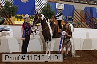 11r12_4191 proof