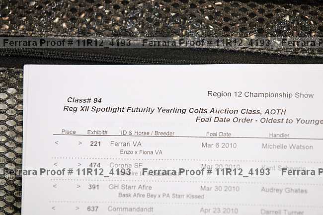 Proof 11r12_4193