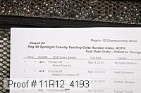 11r12_4193 proof