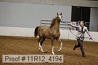 11r12_4194 proof