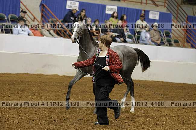 Proof 11r12_4198