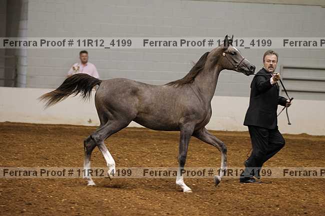 Proof 11r12_4199