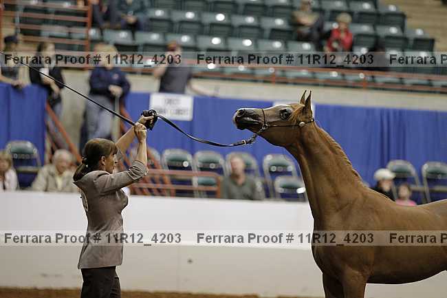 Proof 11r12_4203