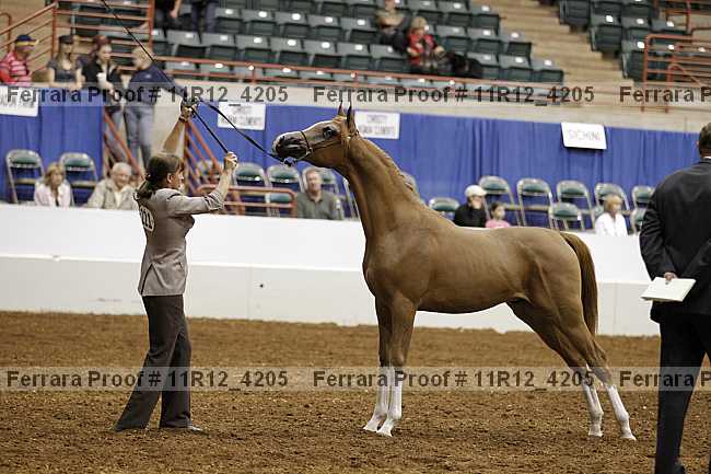Proof 11r12_4205
