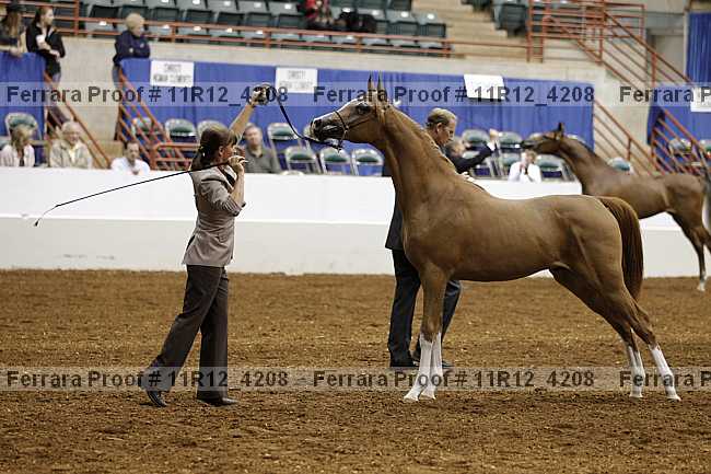 Proof 11r12_4208