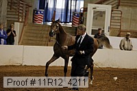 11r12_4211 proof