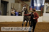 11r12_4218 proof