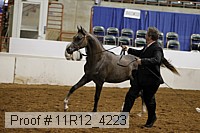 11r12_4223 proof