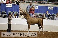 11r12_4227 proof