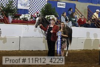 11r12_4229 proof